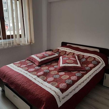 Apartament Mioritza 2B Horezu Zewnętrze zdjęcie